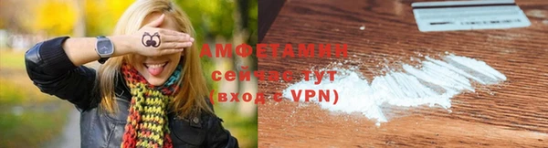 хмурый Магас
