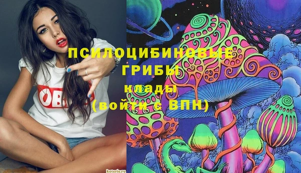 мяу мяу мука Медвежьегорск