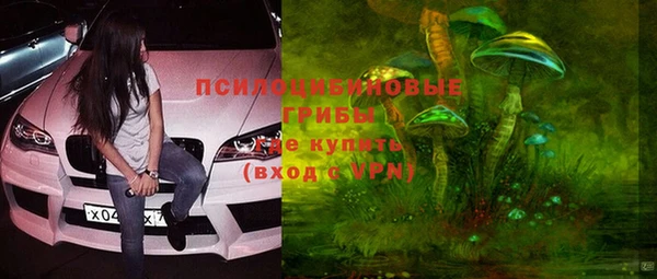 мяу мяу мука Медвежьегорск