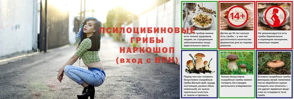 мяу мяу мука Медвежьегорск